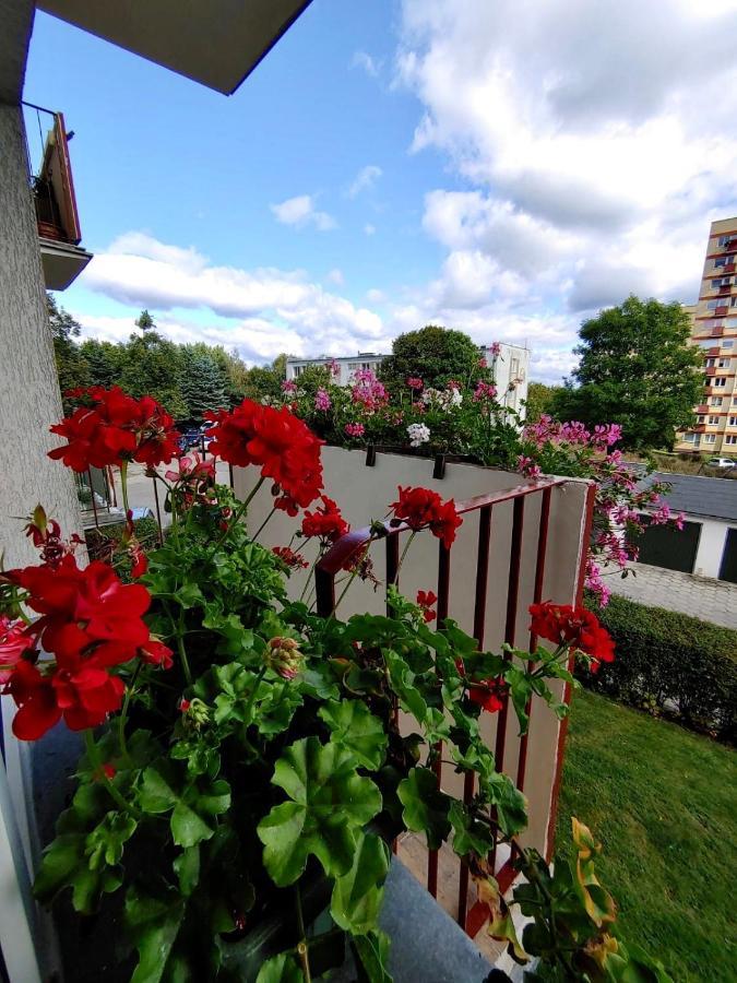 Loft House Sopot Apartament Διαμέρισμα Εξωτερικό φωτογραφία